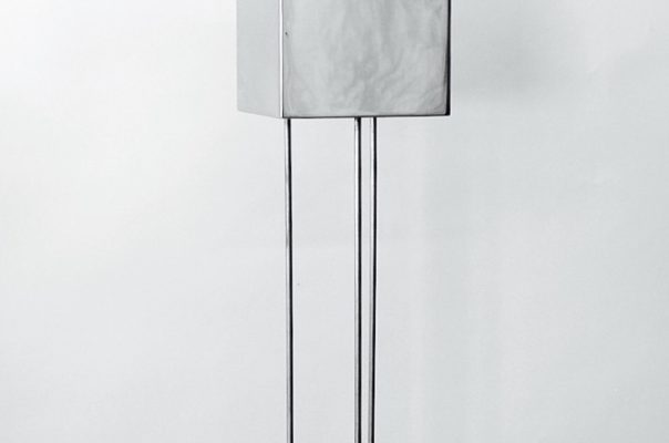 Etre intérieur ” fragile “