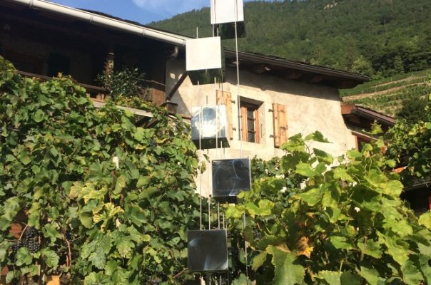 Êtres ” liens ” – 2017